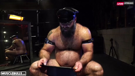 musclebulls  29-12-2021